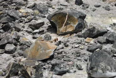 Killing Stone