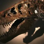 T. Rex