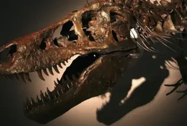 T. Rex