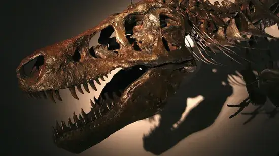 Novo estudo mostra como eram lábios e dentes do Tiranossauro Rex