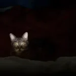 Você está de castigo