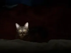 Você está de castigo