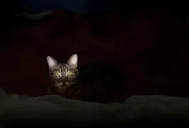 Você está de castigo