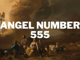 O significado e importância do anjo número 555 5 anjo número 555