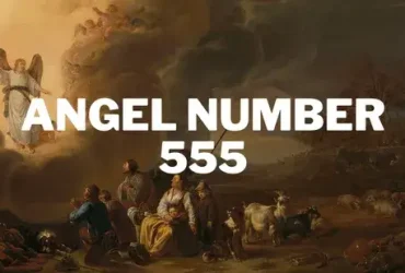 anjo número 555