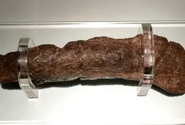 A história de cocô mais longa do mundo é um monte de, bem... 9 cocô mais longa do mundo