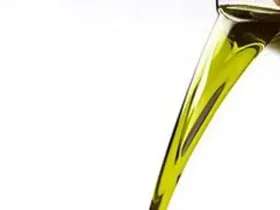 Use óleo vegetal para condicionar seu cabelo 8 óleo vegetal
