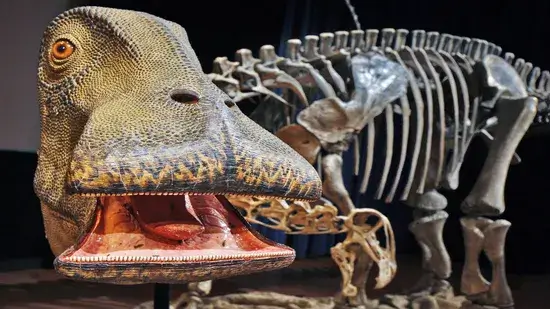 Novo estudo mostra como eram lábios e dentes do Tiranossauro Rex