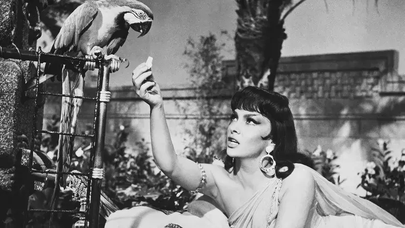 A atriz Gina Lollobrigida 