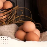 Quem tem Pedra na Vesícula pode Comer Ovo