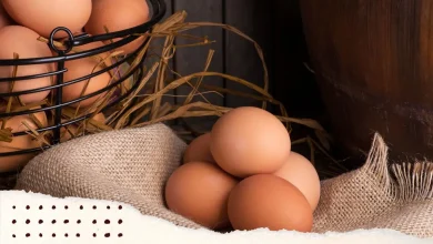 Quem tem Pedra na Vesícula pode Comer Ovo