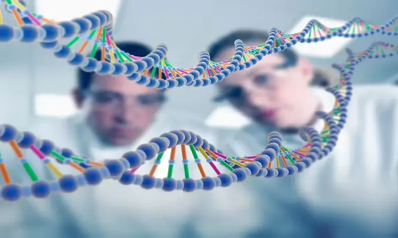 Os cientistas finalmente preencheram a lacuna de 8% no genoma humano 1 cientistas