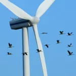 energia eólica
