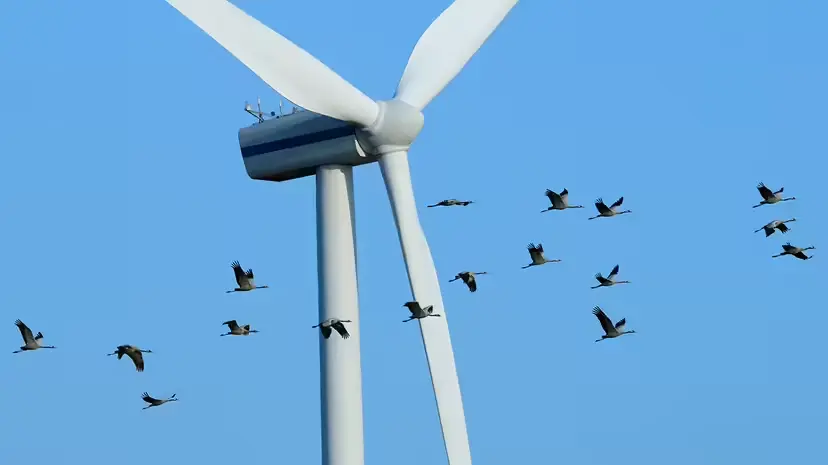 energia eólica