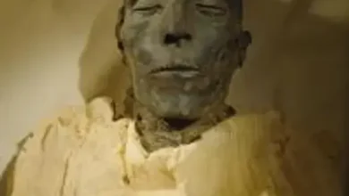 encontrar uma múmia no quintal