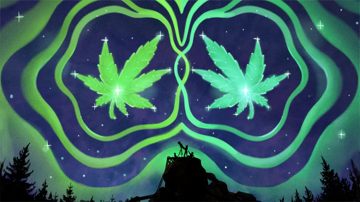 Indica e Sativa