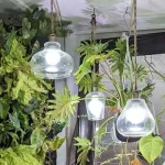 lâmpadas de cultivo