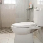 Como parar de vomitar