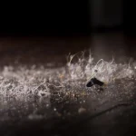 alergias de inverno