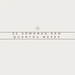 22 semanas são quantos meses