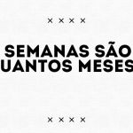 8 semanas são quantos meses
