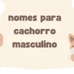 nomes para cachorro masculino