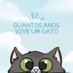 quantos anos vive um gato