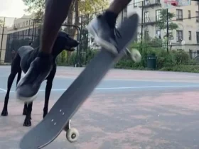 Posso aprender a andar de skate em um mês? 3 skate