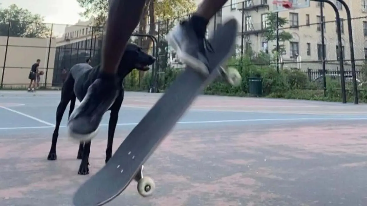 skate