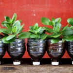 Use este aplicativo gratuito para encontrar trocas de plantas gratuitas em sua área