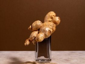 Descubra os benefícios da maca peruana 4 beautiful still life with herbal medicine 23 2149291998