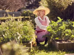 As melhores ferramentas de jardinagem para quem tem dor nas costas 3 ferramentas de jardinagem