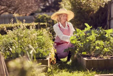 As melhores ferramentas de jardinagem para quem tem dor nas costas 8 ferramentas de jardinagem