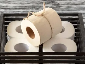 O papel higiênico de bambu é tudo o que dizem? 3 papel higiênico