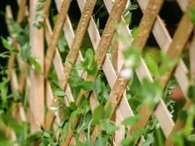 Uma treliça de jardim faça você mesmo é o projeto perfeito para a primavera 8 treliça de jardim