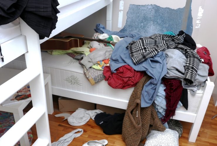 Organize