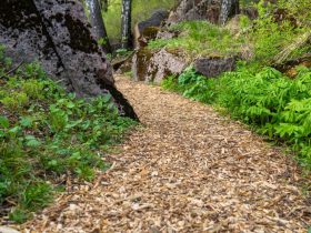 Três materiais baratos (ou gratuitos) para criar uma passarela de jardim 5 baratos