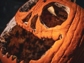 Quando esculpir suas abóboras para que elas não apodreçam antes do Halloween 6 esculpir suas abóboras