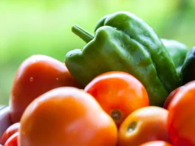 Um guia para preservar sua colheita de frutas e vegetais 4 frutas e vegetais