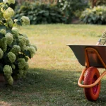 jardinagem