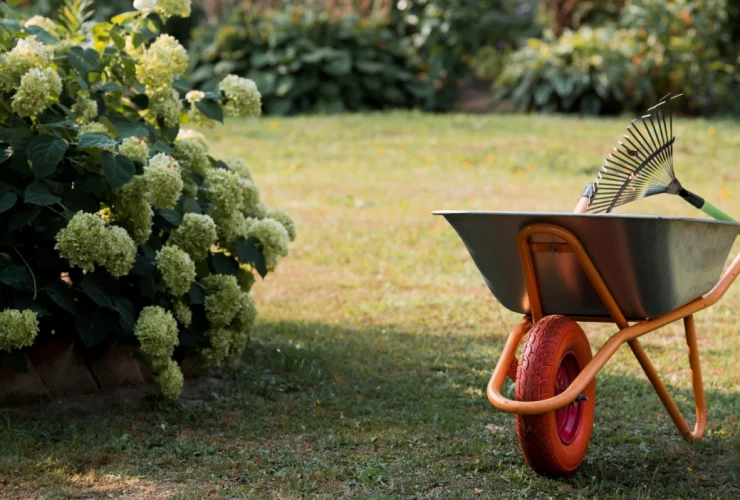 jardinagem