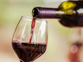 Vinho para iniciantes: 5 dicas para quem está aprendendo a degustar 1 Vinho para iniciantes: 5 dicas para quem está aprendendo a degustar