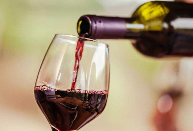 Vinho para iniciantes: 5 dicas para quem está aprendendo a degustar