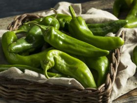 Como preparar, armazenar e cozinhar com pimentas Hatch Chile 7 pimentas Hatch Chile