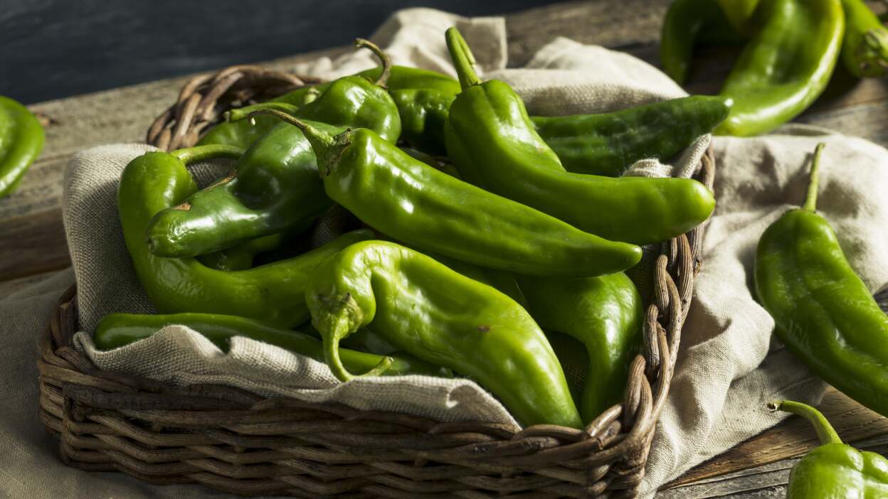 pimentas Hatch Chile