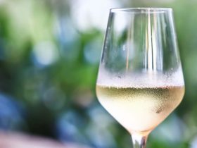 refrigerador de vinho