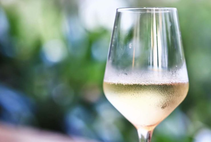 refrigerador de vinho