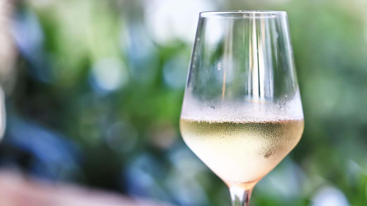 refrigerador de vinho