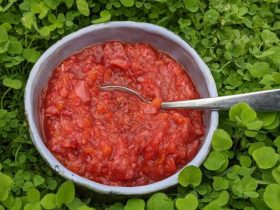 salsa de sambal