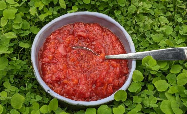 salsa de sambal